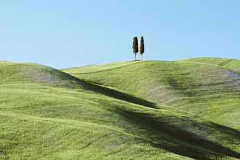 Two trees in the distance on top of a green hill. 