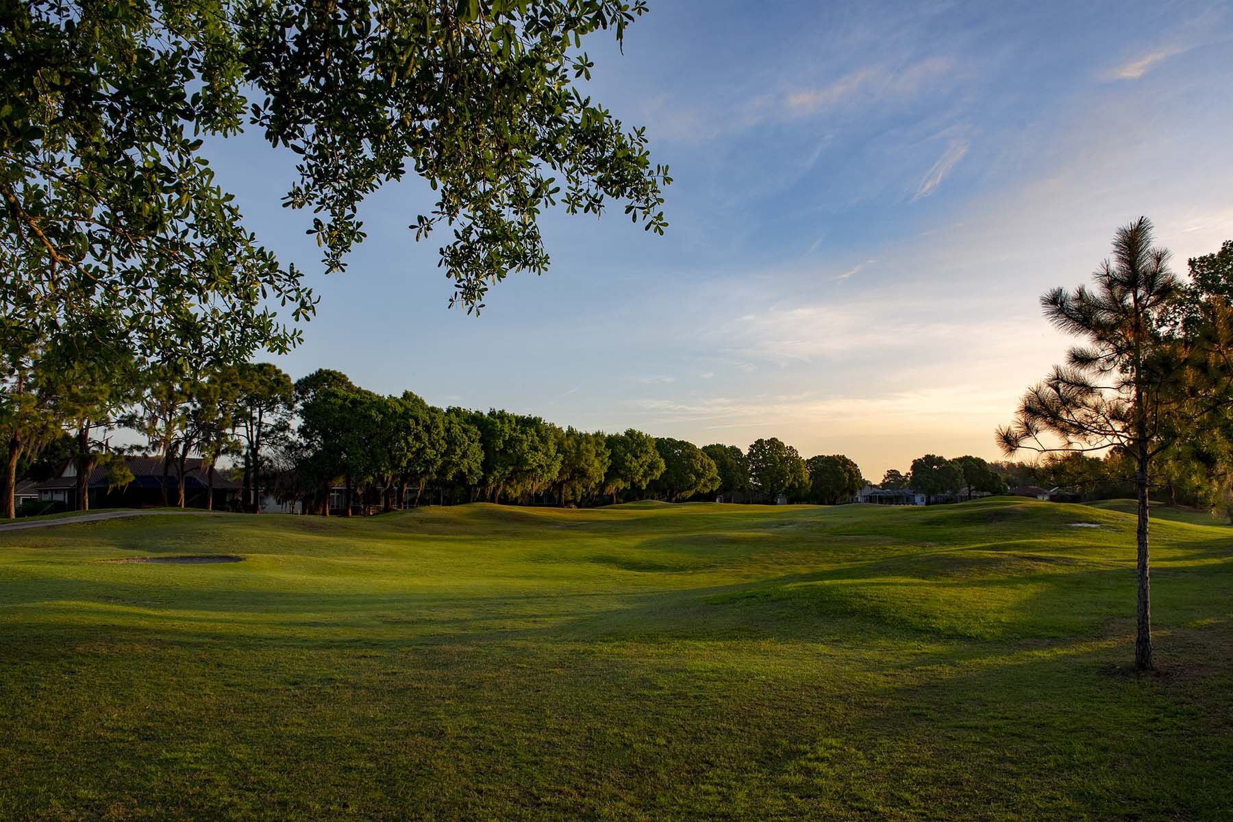 The Preserve at La Paloma