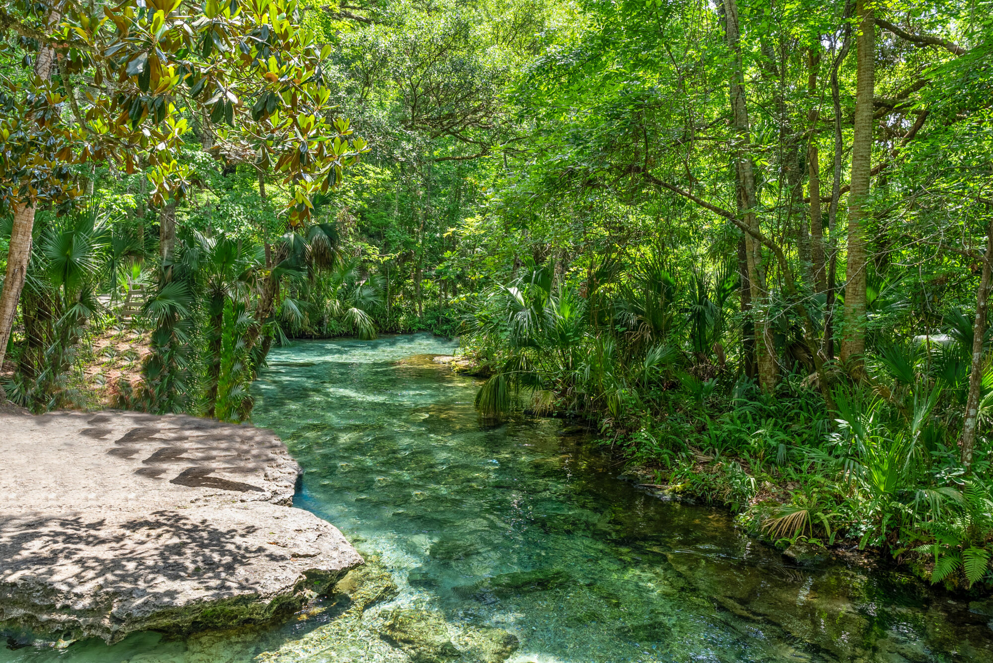 Gardenia Reserve