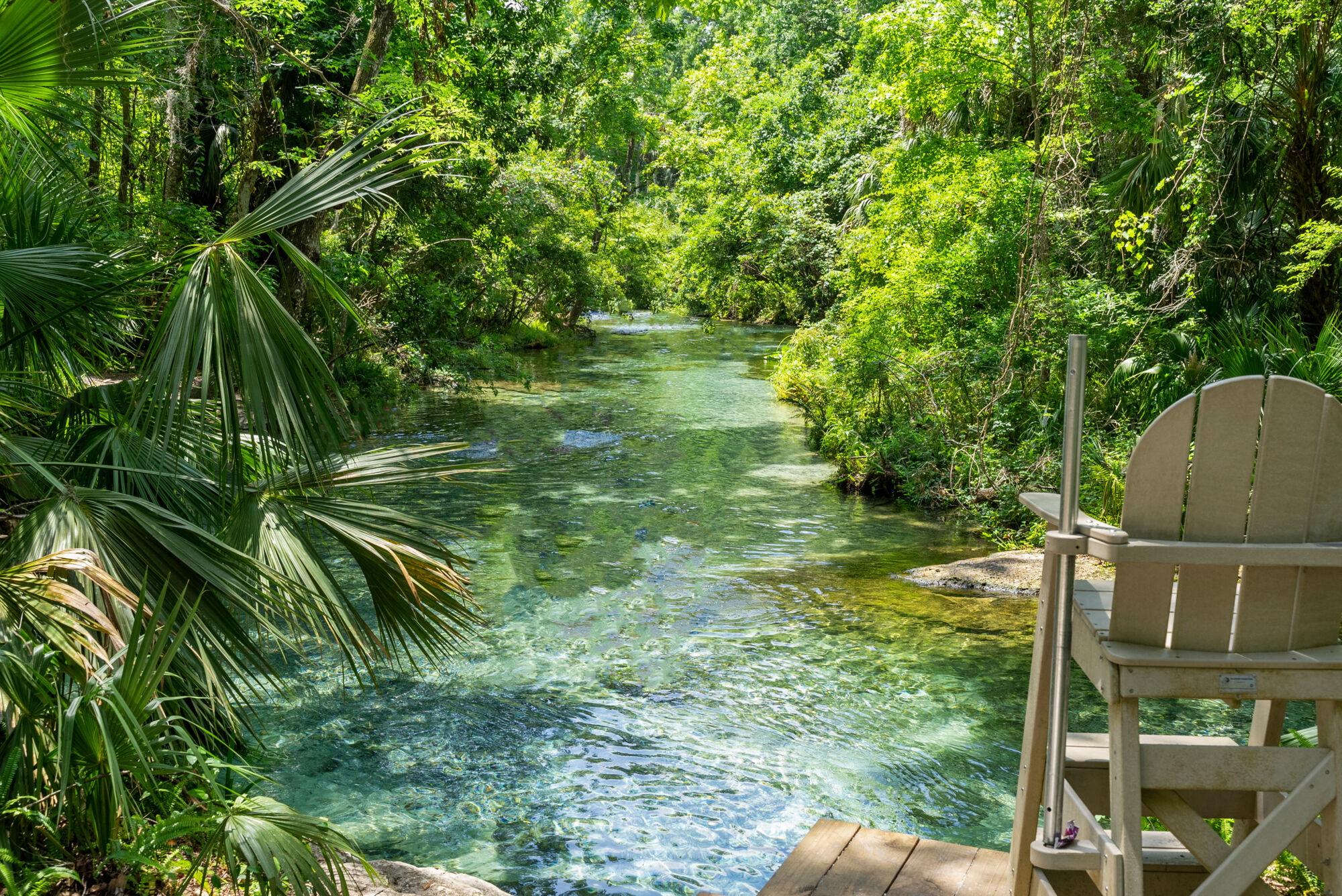 Gardenia Reserve