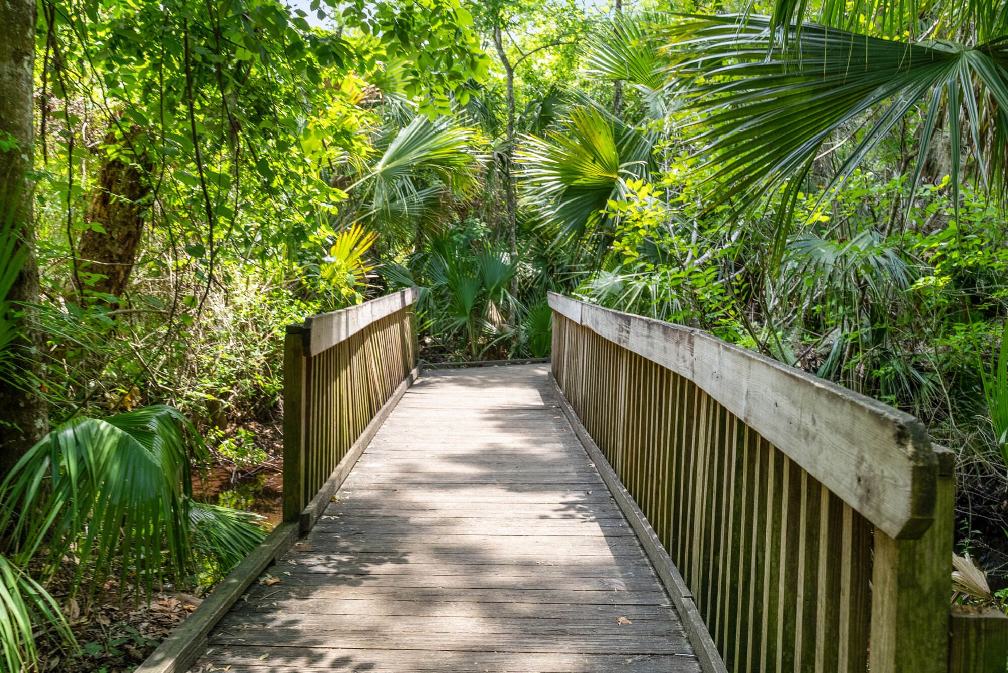 Gardenia Reserve