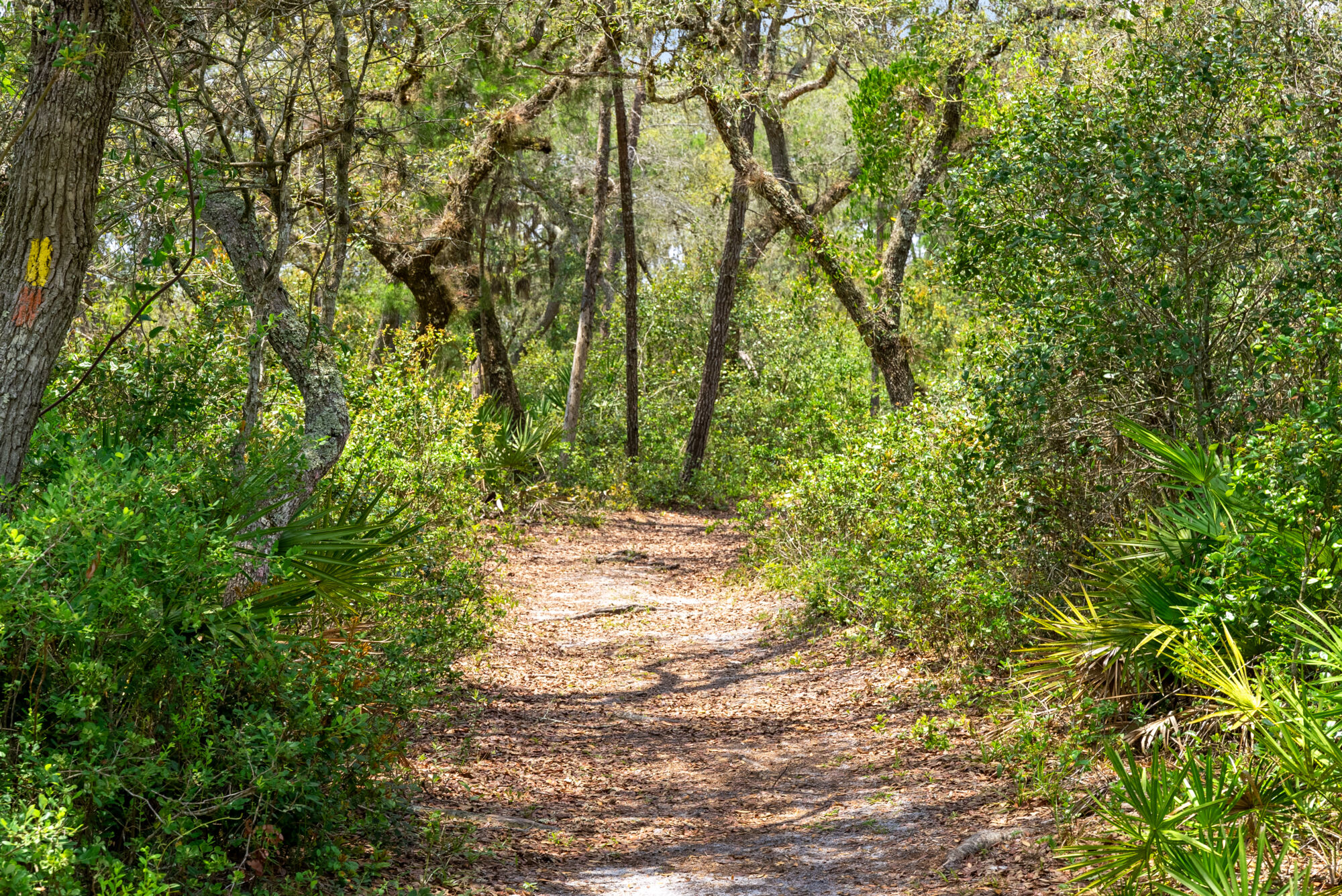 Gardenia Reserve
