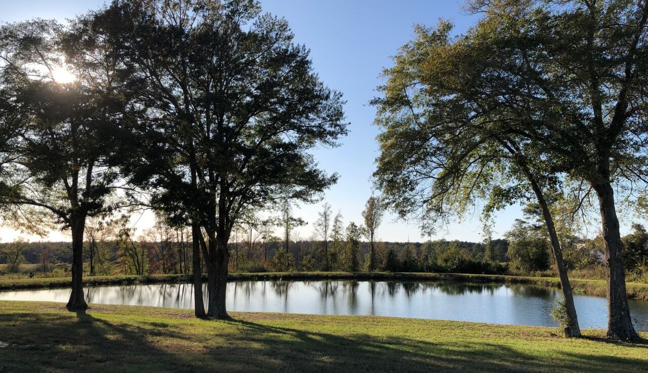 Beverly Place