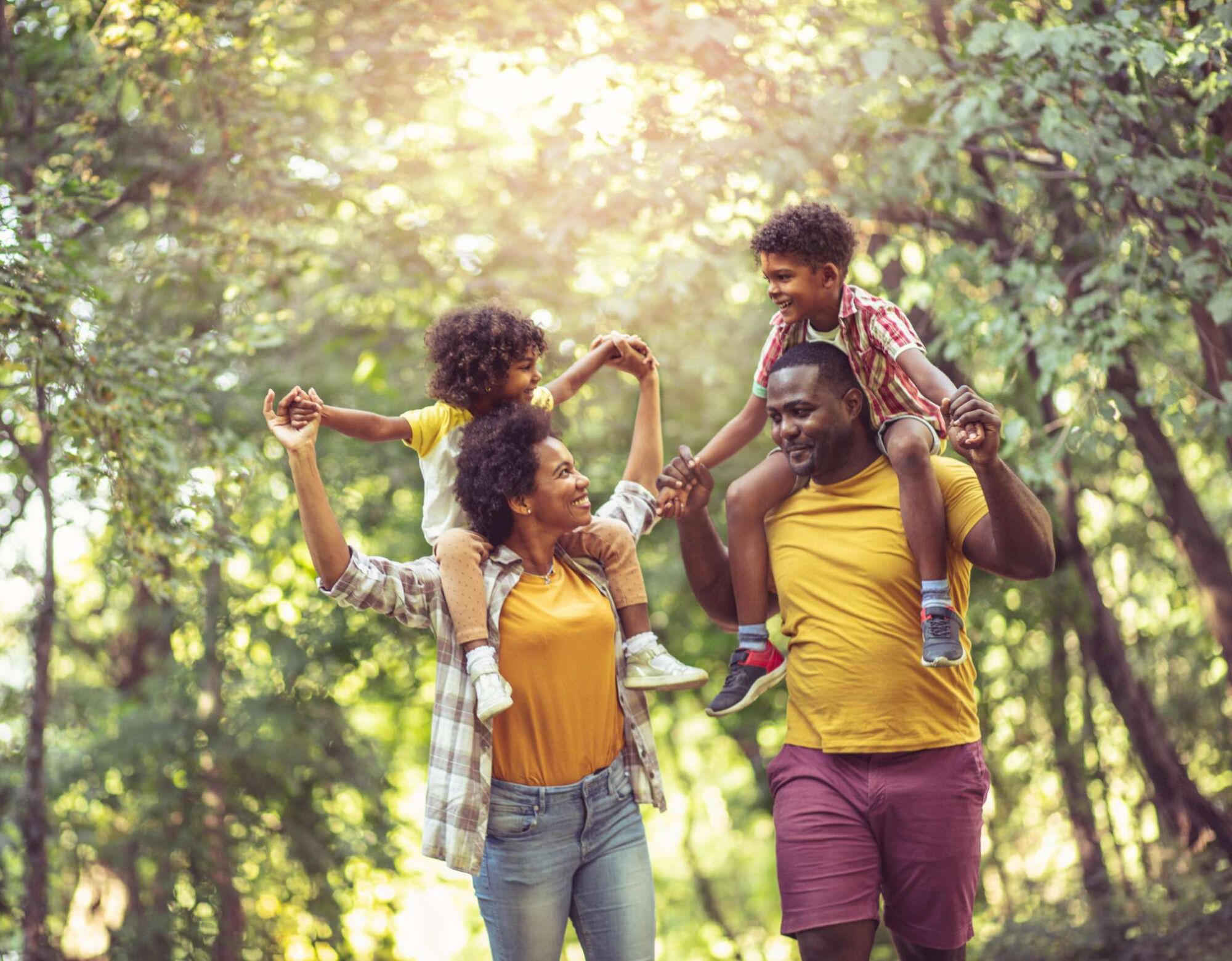 A family walking through a forest